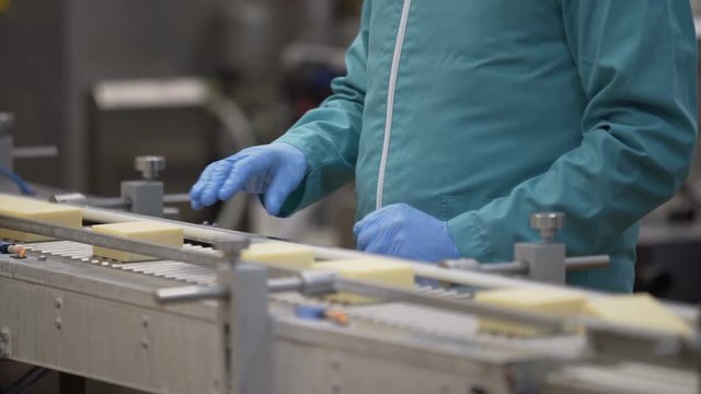 Conveyor line for cheese packaging process. Close up of cheese processing at food factory