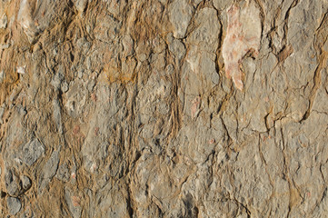 Rock or Stone  surface as  background texture