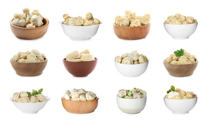 Set of bowls with delicious cooked dumplings on white background