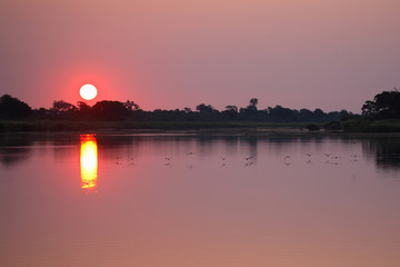 Sonnenuntergang Sabie River/ Sundown Sabie River /