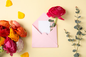 Flat lay composition with beautiful ranunculus flowers and card in envelope on color background. Space for text