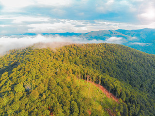 mountain hills and forest on the background of blue sky in the Carpathians, Ukraine