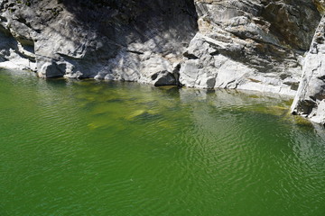 Fototapeta premium Green water under Ponte Romano Intragna Bridge