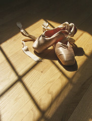 Ballet Slippers © Diane Diederich