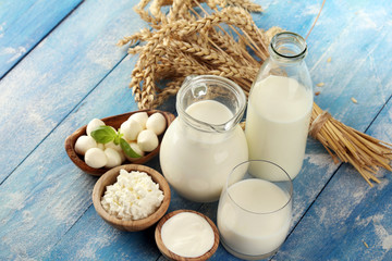 milk products. tasty healthy dairy products on a table. sour cream in a white bowl, cottage cheese bowl, cream in a a bank and milk jar, glass bottle and in a glass