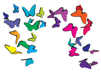 multicolor butterflies