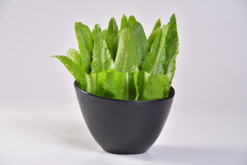 fresh spinach in a bowl isolated on white