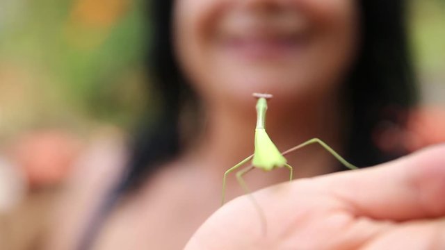 Concept of care for nature. Detail of insect Mantis or Louva-Deus. Praying mantis close up. Brazilian insect.