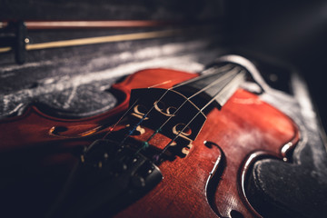 Close up on the violin musical instrument