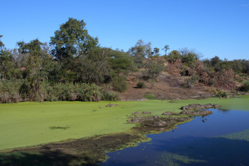 Sweni Bird Hide / Sweni Bird Hide /
