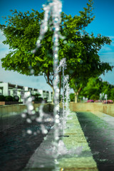 Obraz premium river in the park