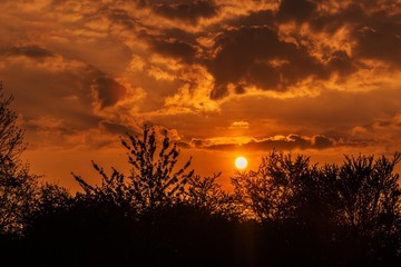 Dark orange sunset sky with dramatic clouds, silhouettes of trees and vegetation in foreground, nature landscape