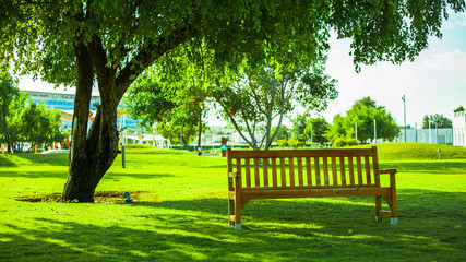 bench in the park