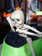 Halloween skeleton in shopping bag, US, 2017.