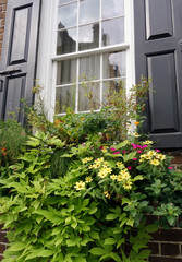 Fototapeta na wymiar Colonial house windows, shutters, and flowers in Charleston, South Carolina, US, 2017.