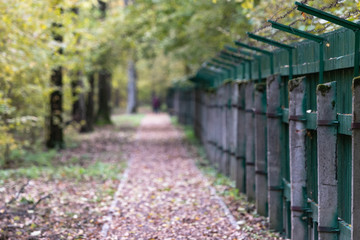 A track along a prison fence. A green fence with barbed wire in autumn forest.