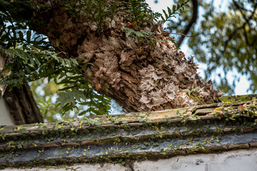 Architecture details of Chinese historic building