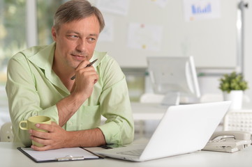 Portrait of mature businessman working with laptop at home