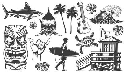 Vintage surfing elements monochrome collection