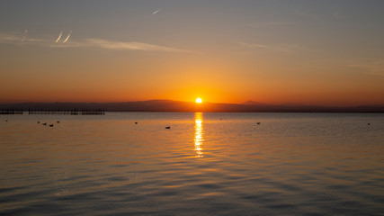 Sunset in Albufera of Valencia with seagulls in the water.