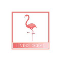 pink flamingo pattern isolated icon