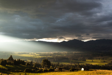 Sunset light over the field