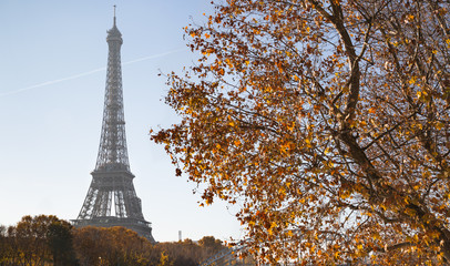 Paris Autumn