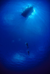 A silhouette shot of divers returning to a dive boat. The water is very clear and the sun can be seen behind the dive boat.