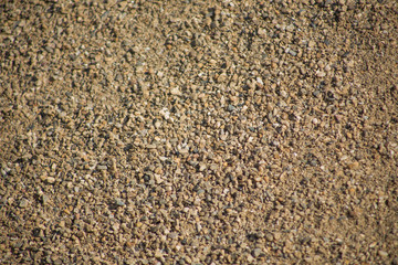 Textured background of beige sand and fine stone gravel. Texture