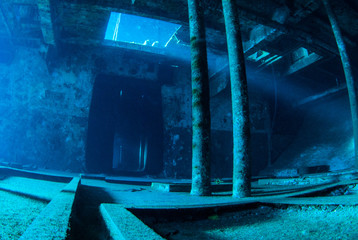 A natural light shot from the inside of a sunken ship in the Caribbean. The vessel is the Kittiwake...