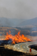 Fototapeta premium 阿蘇の野焼き