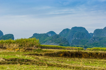 Fototapeta na wymiar landscape with mountains in background 