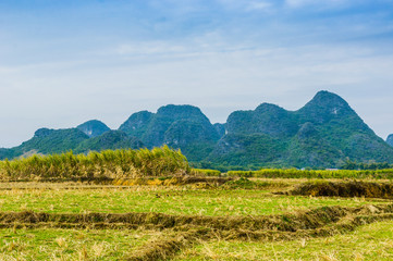 Fototapeta na wymiar landscape with mountains in background 