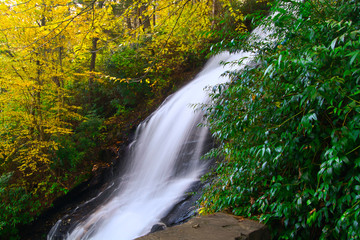 Obraz premium Flow of Change 