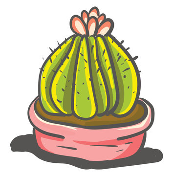 Painting a of mammillary cactus with a beautiful flower at its top vector color drawing or illustration