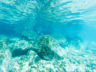 tropical blue ocean underwater background - luxury nature pattern