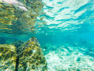 tropical blue ocean underwater background - luxury nature pattern