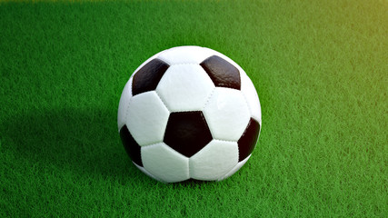 Football or soccer on fresh green grass