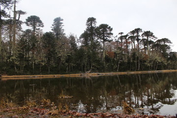laguna en el cañi