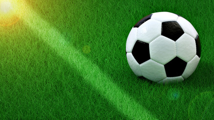 Football or soccer on fresh green grass