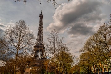 Torre Eiffel y árboles