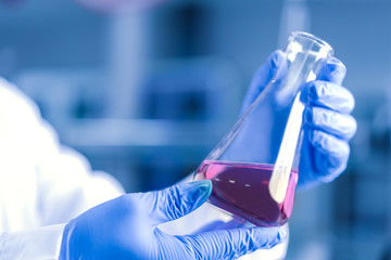 Scientist in the laboratory	