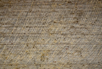 Fototapeta premium wood texture, background old panels