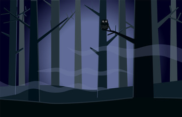 Obraz premium Owl in an eerie forest at night vector