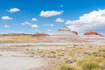 Painted Desert