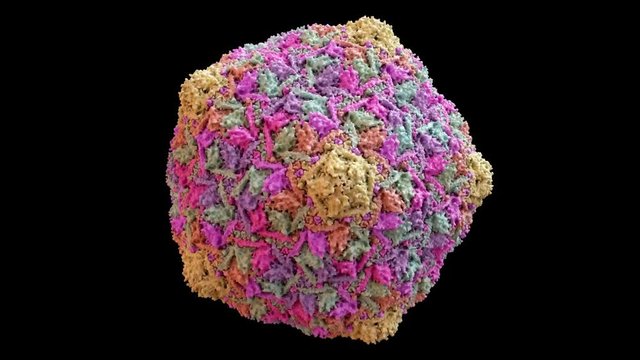 Bacteriophage HK97 virus capsid Structure based on PDB : 1OHG, 360 degree rotation loop