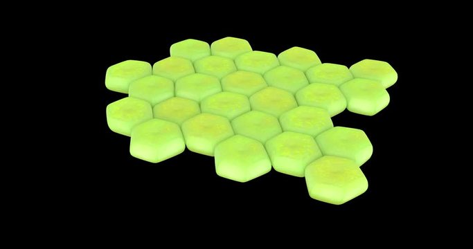 3D animation of a acinetobacter baumannii bacteria