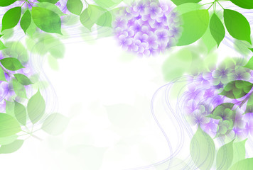 あじさい　花　梅雨　背景 