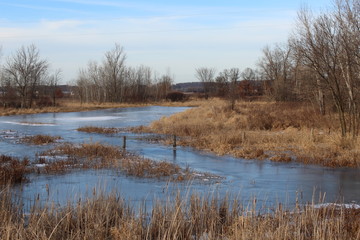 Frozen pond surounded by brown grasses and a barbed wire fence running through, Cold winter time.