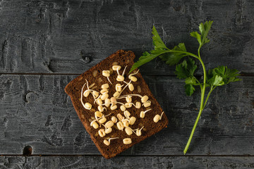 A piece of dark bread with sprouted mung beans and a sprig of parsley on a black wooden table.The view from the top.